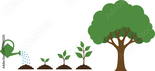 Plant growth stages illustration showing watering can seedling sapling and mature tree concept for gardening ecology nature education vector