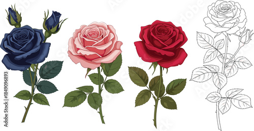 Set of four individual rose stems in navy blue pink red and black line art on white background vector.