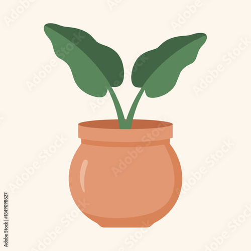 Potted Plant with Green Leaves in Clay Pot.