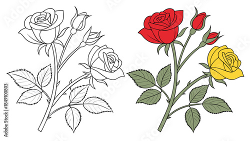 Illustrated Rose Flowers Line Art Designs Coloring Pages for Kids and Adults