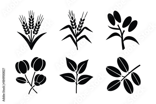 Collection of black silhouette icons representing grains and plants, such as wheat, olives, and leaves.