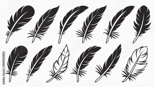 Collection of black and white feather silhouettes 