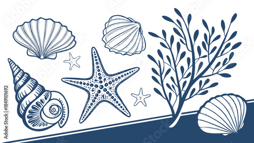 Seaside Illustration Featuring Shells Starfish and Seaweed