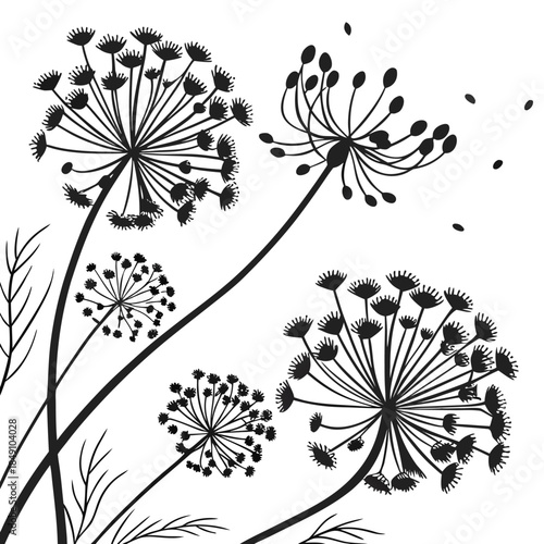 Black and white illustration of dandelions in various stages of blooming and seed dispersal