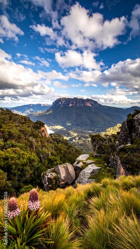 Mountain peak view through field of tall, wispy grass under a partly cloudy blue sky with sunlit peaks