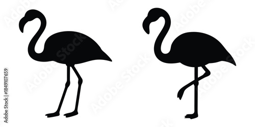 Flamingo vector silhouette, pink flamingo vector illustration, standing flamingo, flamingo clipart
