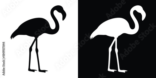 Flamingo vector silhouette, pink flamingo vector illustration, standing flamingo, flamingo clipart