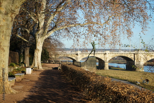 Blick zur Albertbrücke in Dresden