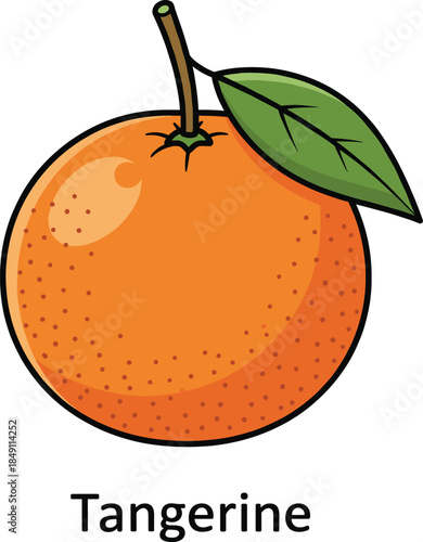 Tangerine fruit vector illustration with leaf and text label isolated on white for food education packaging and nutrition designs