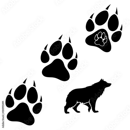 Wildlife paw prints and wolf silhouette