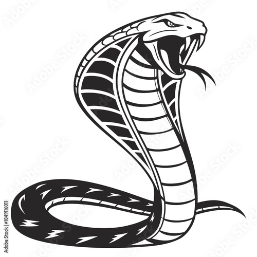 Dangerous cobra ready to strike