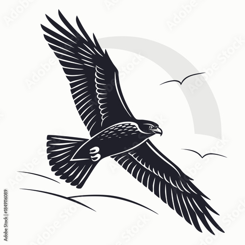 Soaring eagle in flight