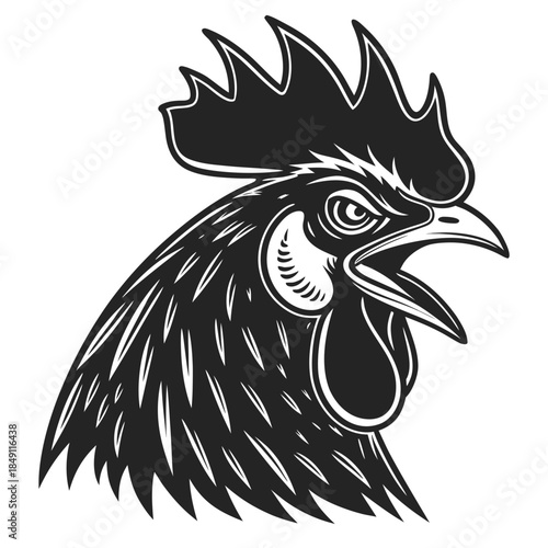 Rooster head illustration