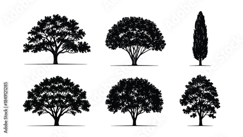 Comprehensive set of black vector illustrations featuring various deciduous and one coniferous tree silhouette on a white background, ideal for architectural and landscape design projects

