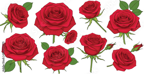 Elegant wedding invitation template set featuring red tulip flowers on a pink watercolor background romantic spring floral vector illustration for celebration.