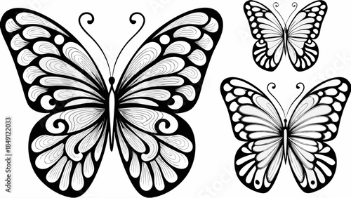 Beautiful black and white butterfly illustrations in elegant designs