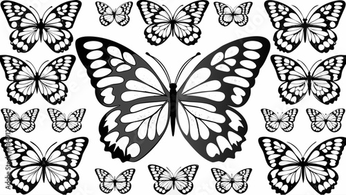Black and white butterflies collection on clean background