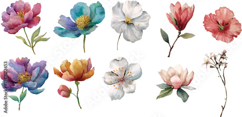 set of watercolor flowers