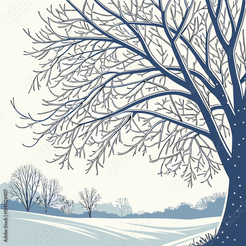 Frosty Tree Branches Covered In Ice Crystals