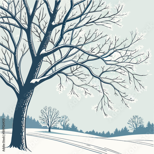 Frosty Tree Branches Covered In Ice Crystals