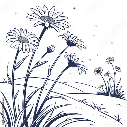Snowy Daisy Field Illustration With White Backgrou