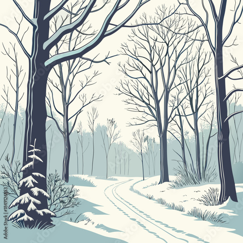 Winter Forest Path Covered In Snow