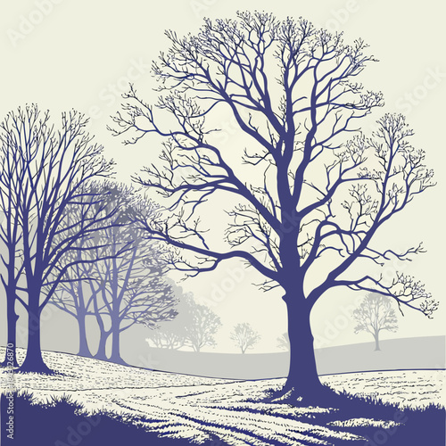 Winter Landscape With Bare Trees And Fog