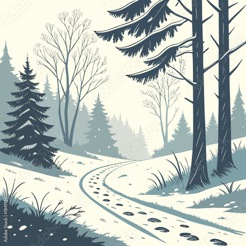 Winter Forest Path Covered In Snow