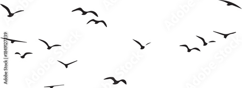 flying black birds illustration, Bird Flock, Birds, angle, white png