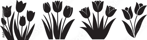 Set of Tulips Flower Silhouette Vector