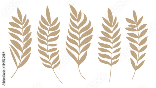 Palm Leaves Gold Silhouette Collection Vintage Botanical Tropical Elements.Vector Set