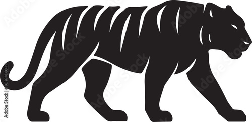 tiger vector illustration