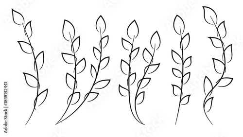 Hand drawn floral elements collection.Vector illustration