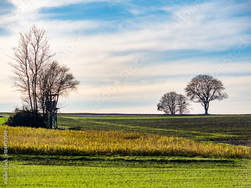 Wallpaper Mural Hoch und Jägersitz am Waldrand Torontodigital.ca