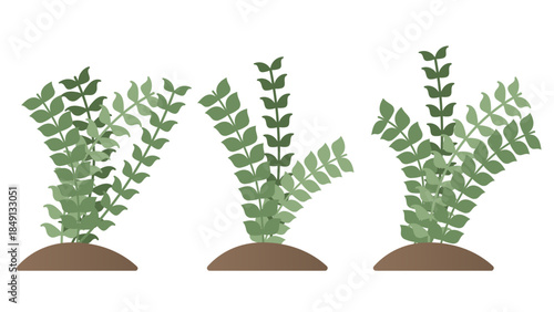 Nature Plants Illustrations Collection Green Leaves Shrub Elements Set.Vector Design