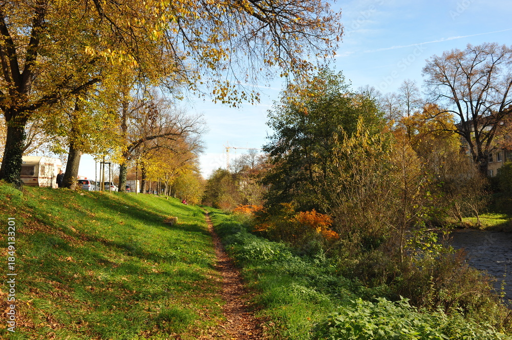 Fototapeta premium Serene green pathway beside flowing water, Idyllic rural landscape with lush greenery and gentle streams
