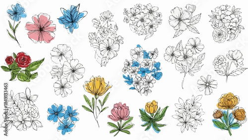 Collection of Hand-Drawn and Watercolor Floral Illustrations.