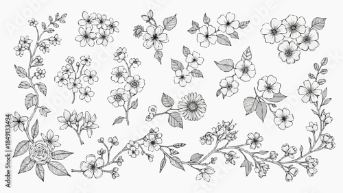 Collection of Delicate Hand-Drawn Floral Branch Illustrations.