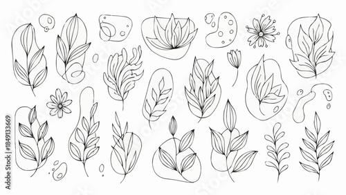 Abstract Botanical Line Art Collection of Leaves and Flowers.