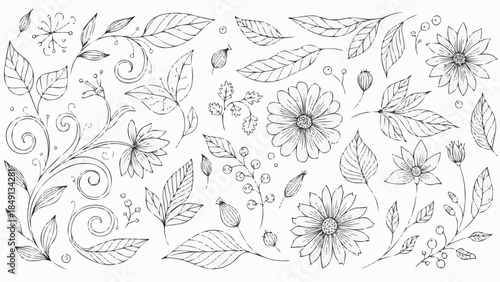 Hand Drawn Botanical Elements with Flowers and Leaves.