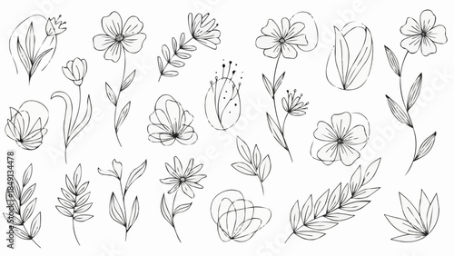 Collection of Hand-Drawn Floral Elements and Botanical Illustrations.