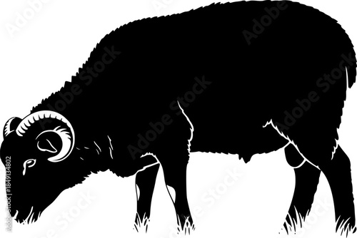 Black silhouette of domestic sheep on a white background vector illustration
