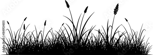 grass line art silhouette vector illustration
