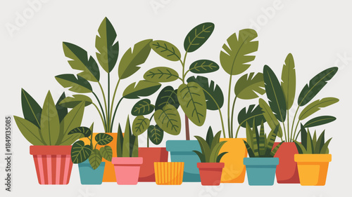 Vibrant Indoor Plants in Colorful Pots, Lush Green Leafy Houseplants