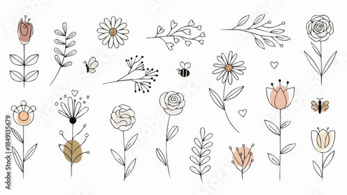 Delicate Hand Drawn Botanical Illustrations of Flowers and Insects.