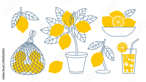 Vibrant Lemon Illustration with Fruit, Plant, and Drink