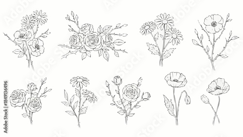 Collection of Hand Drawn Botanical Illustrations of Various Flowers and Plants.