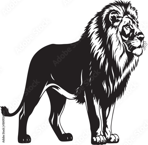 Majestic Lion Standing Alone Black White Illustration Animal Kingdom Wildlife