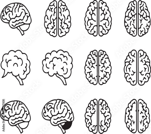 Various Illustrations of Human Brain Anatomy from Different Angles and Perspectives