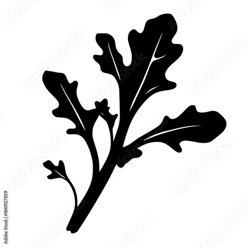 Fresh arugula leaf silhouette in black on white background  